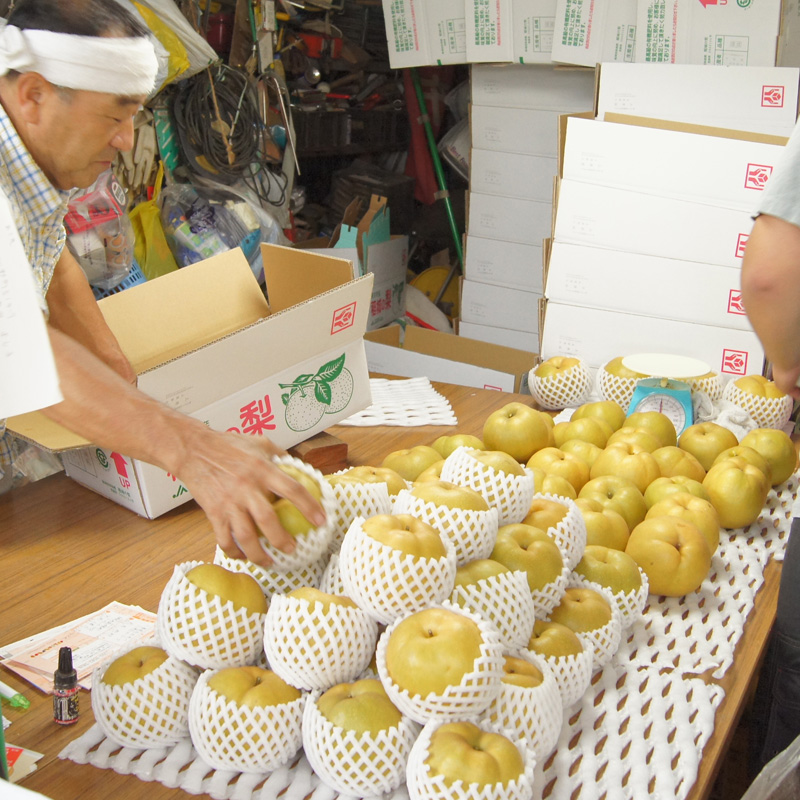 梨とぶどうの生産・直売農園